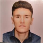 Ingegenre elettrico laureato col massimo dei voti impartisce lezioni di elettrotecnica, a studenti universitari o itis